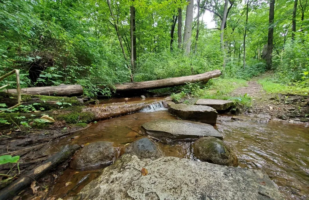 Fox Bluff Conservation