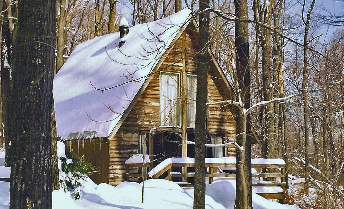 Ole Mink Farm Cabin in Snow