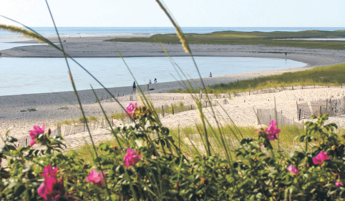 Spring on Cape Cod