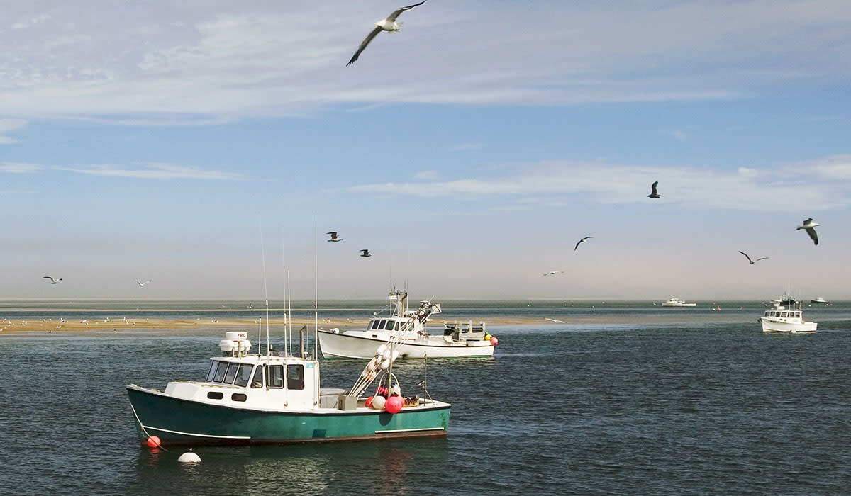 Chatham Fish Pier