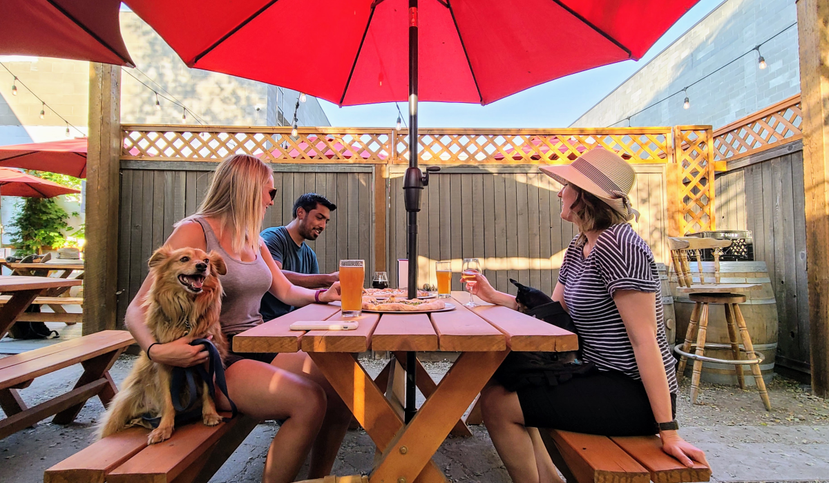 Two young females and one male sit with a pair of dogs at a wooden picnic table at Jackknife 