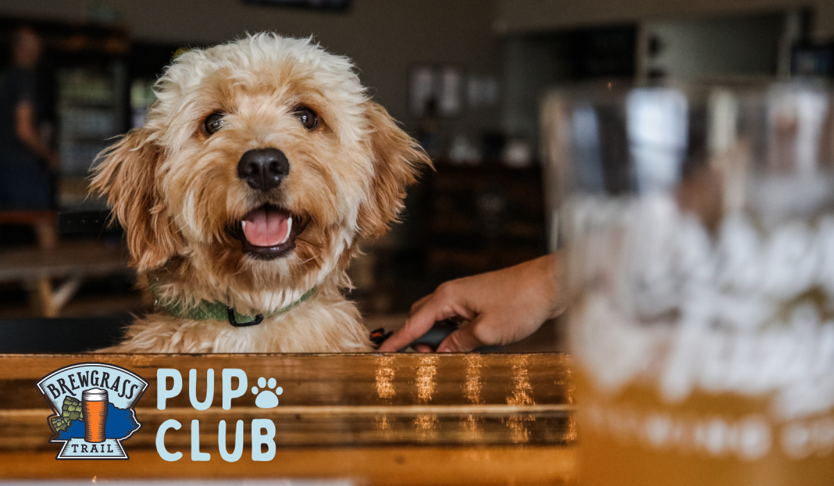 Pup Club - Ziggy