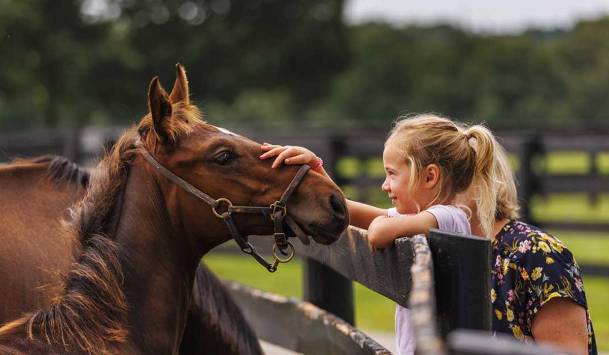 Child petting a horse with her mother's support at Kentucky Horse Park