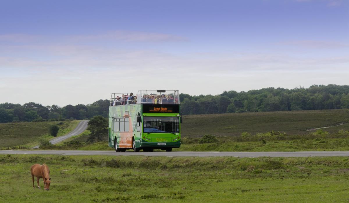 The New Forest Tour Bus in the New Forest