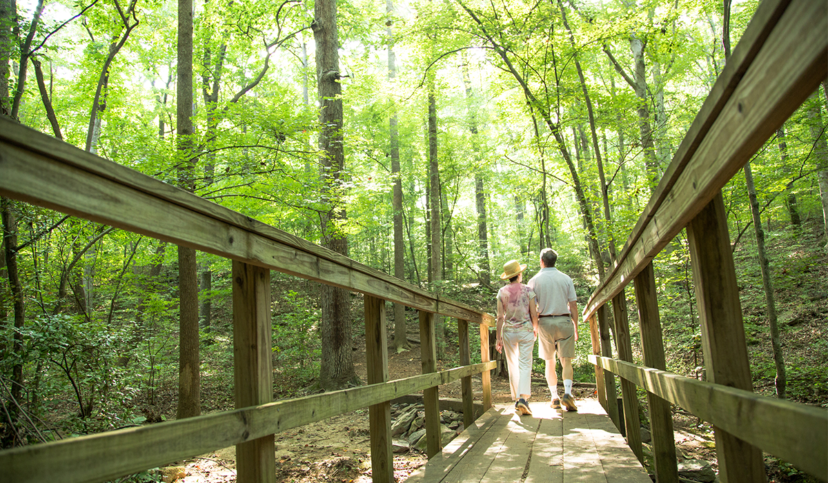 Couple walking on wooden bridge at Big Tree Forest Preserve
