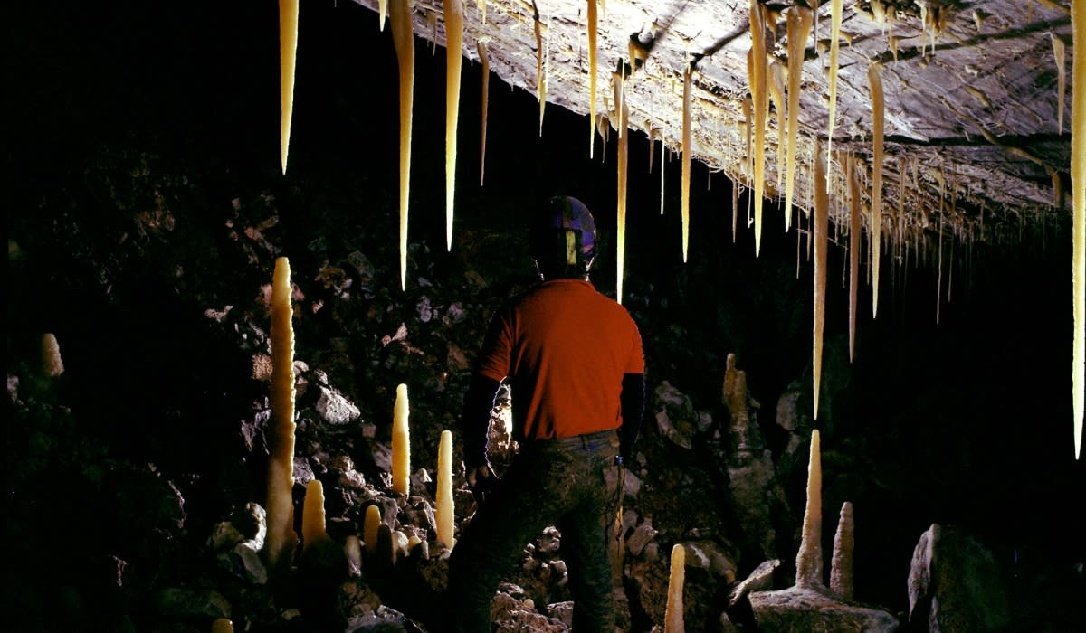 karchner caverns throne room carrots