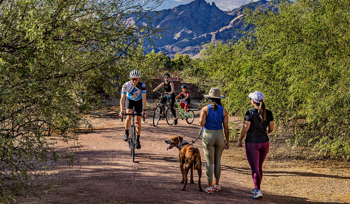 People walking dogs and biking on flat dirt trail surrounded by greenery. Mountains peaking between greenery in background