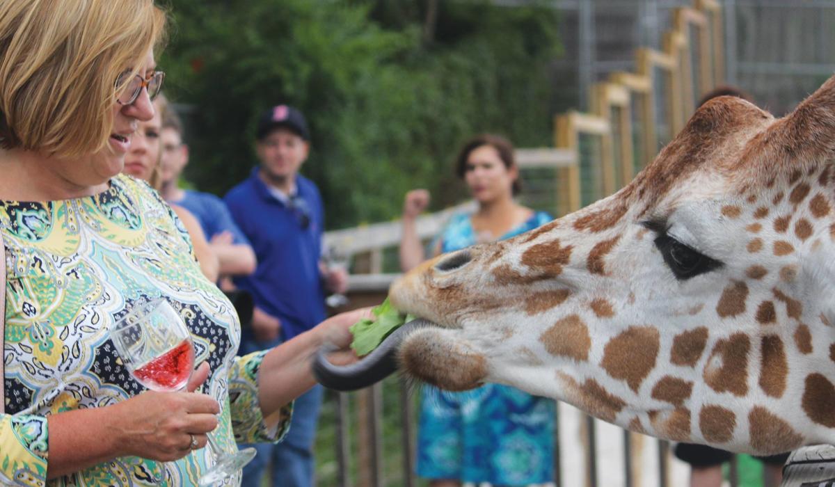 The Wine Safari at Elmwood Park Zoo includes a giraffe feeding experience.