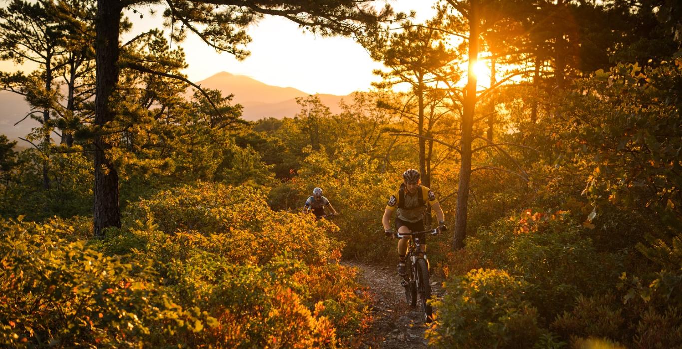 Jefferson forest hotsell mountain biking