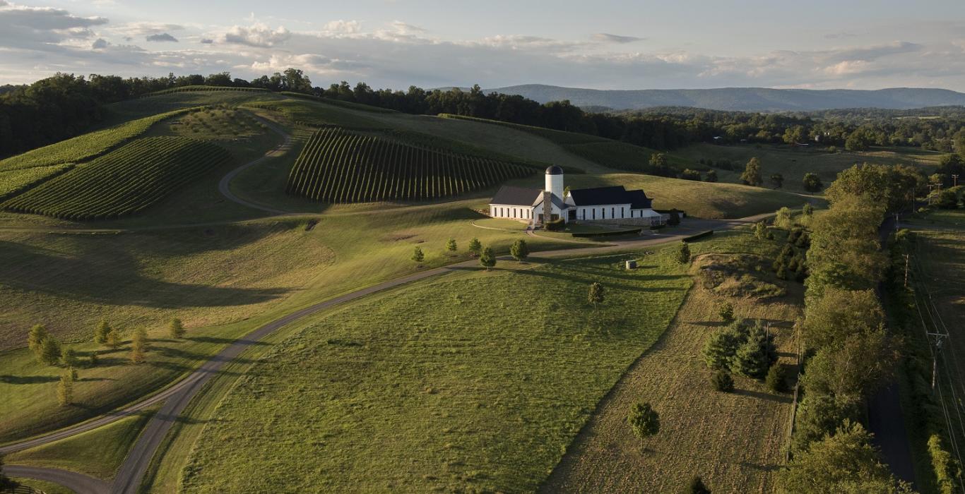 Stunning Wineries Near Shenandoah National Park