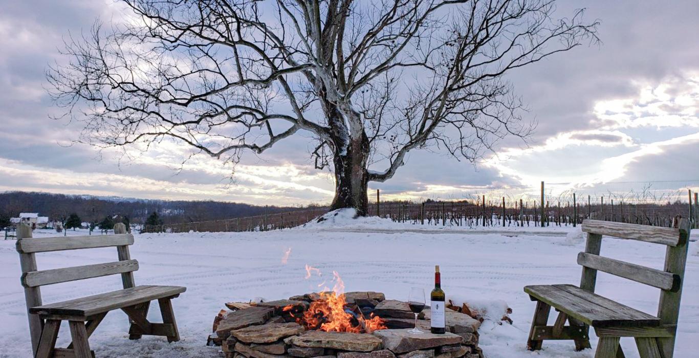 Winter winery on sale