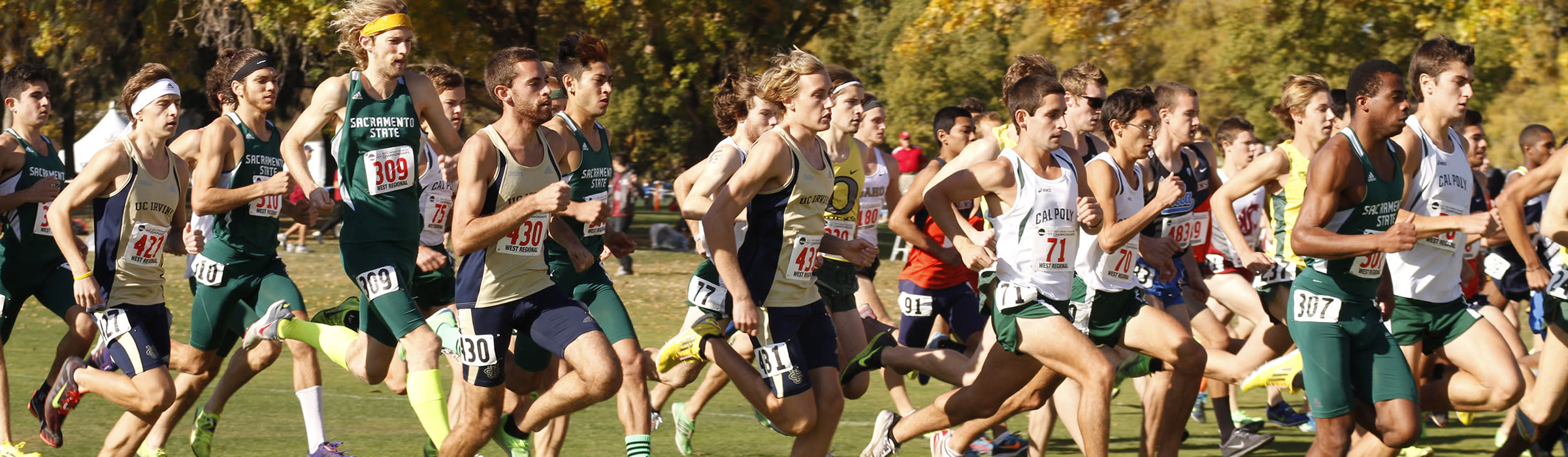 2019 Ncaa Cross Country Championships State cross country meet time schedule. 2019 ncaa cross country championships