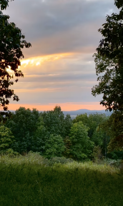 Uwharrie National Forest.
