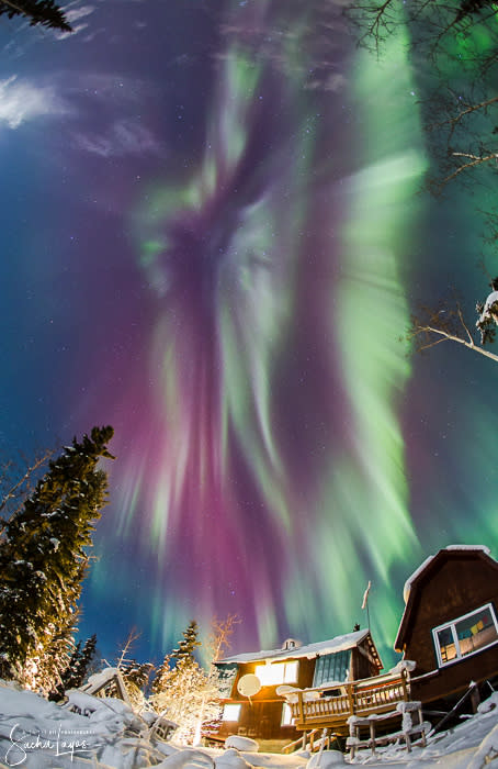Nature's Fireworks - Sacha Layos of Midnight Oil Photography - Fairbanks Alaska
