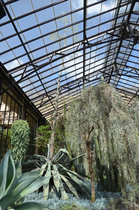 Longwood Rare Plant