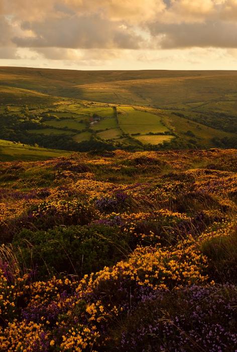 view of dartmoor at sunset
