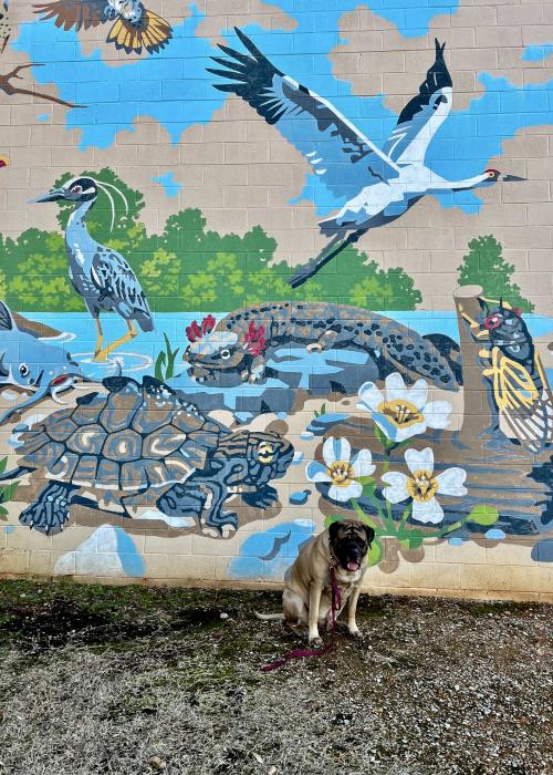 Dog sits in front of a colorful wildlife mural featuring native Alabama animals at Lowe Mill ARTS & Entertainment in Huntsville.