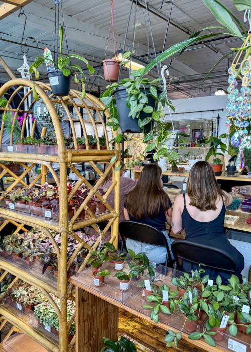 Shoppers browse a colorful selection of houseplants at Pure Joy Plants inside Lowe Mill ARTS & Entertainment in Huntsville.