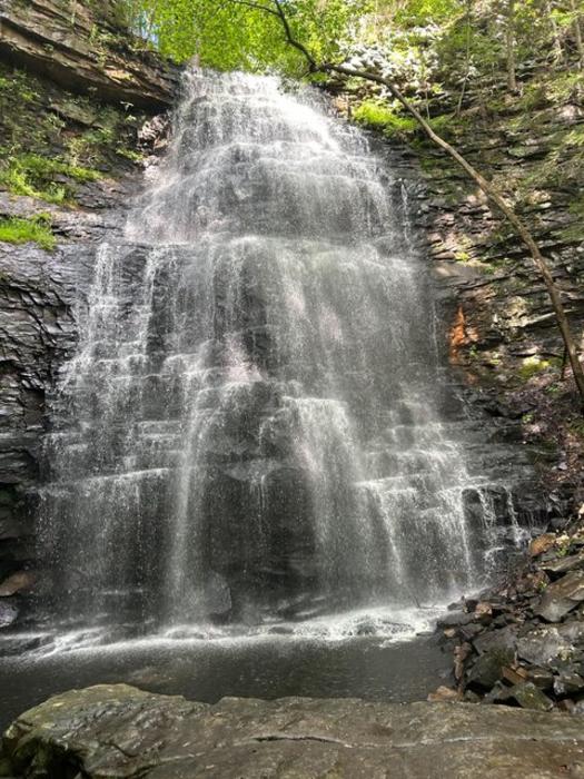 Denny Cove Falls