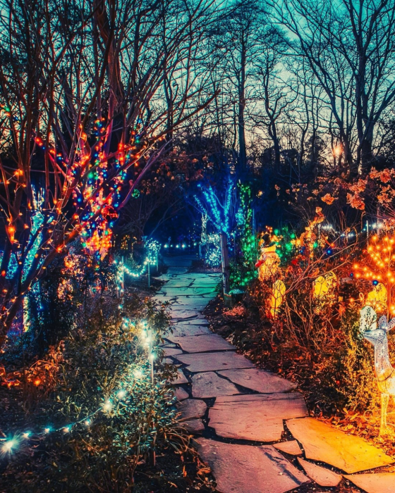 North Pole Lights Walk