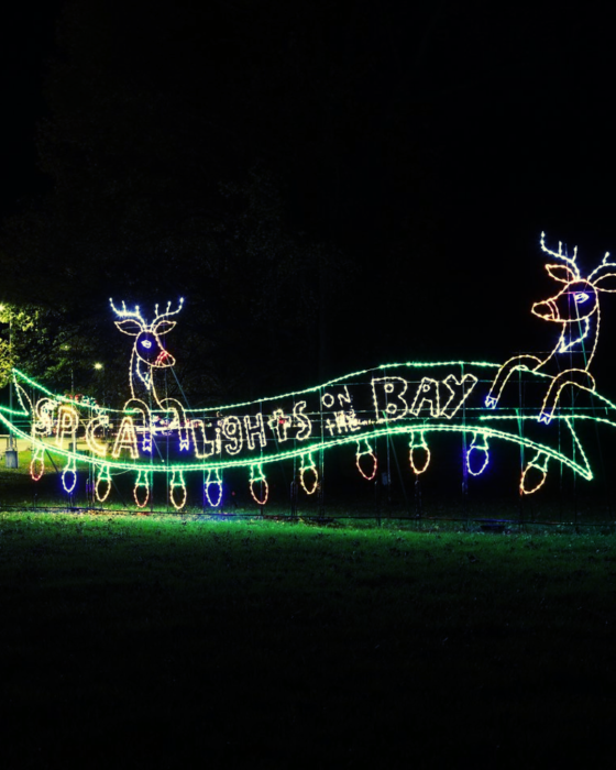 Lights on the Bay