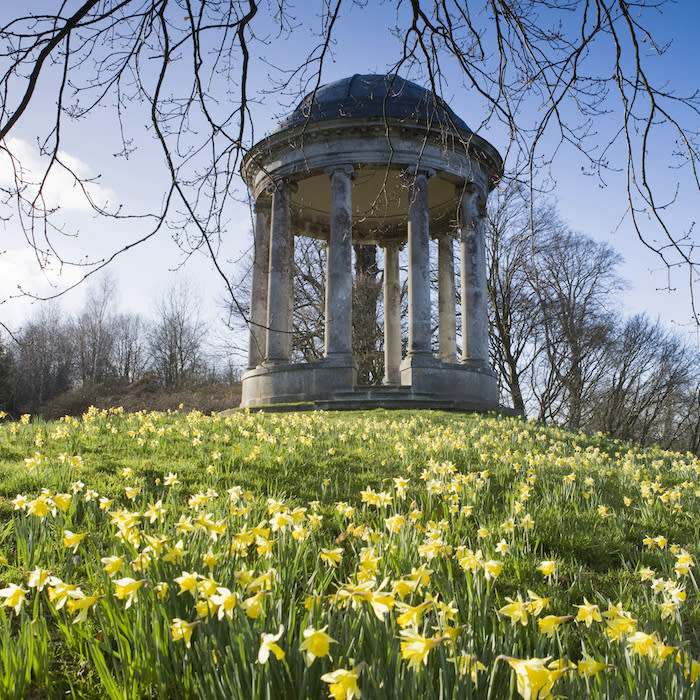 Petworth Park in Spring