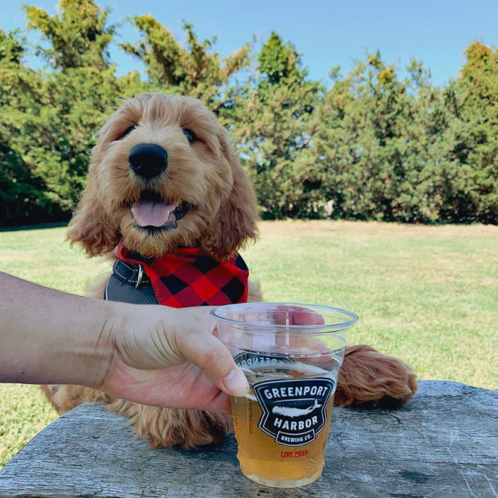 greenport harbor brewing