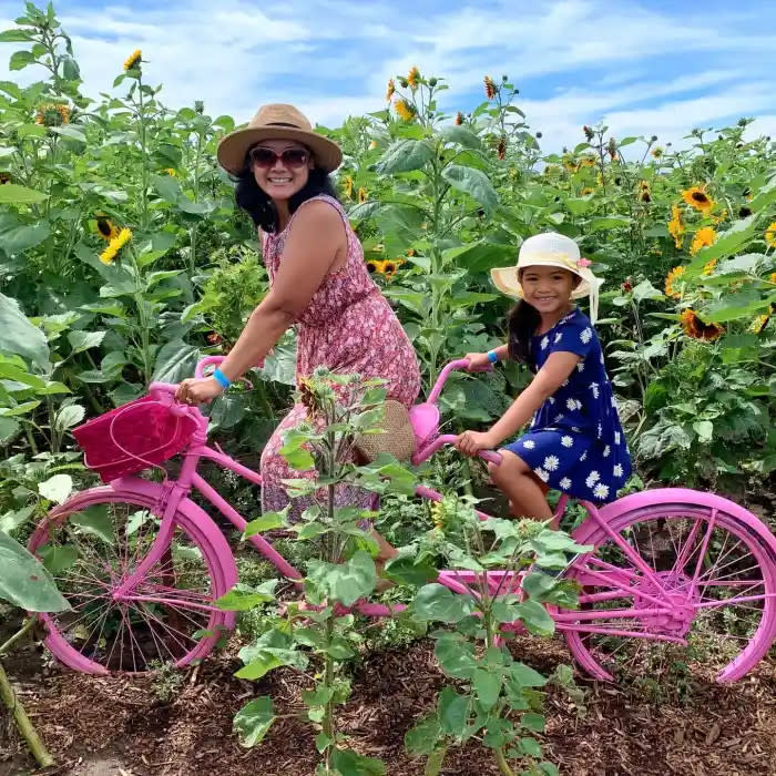 TomsSunflowerBike