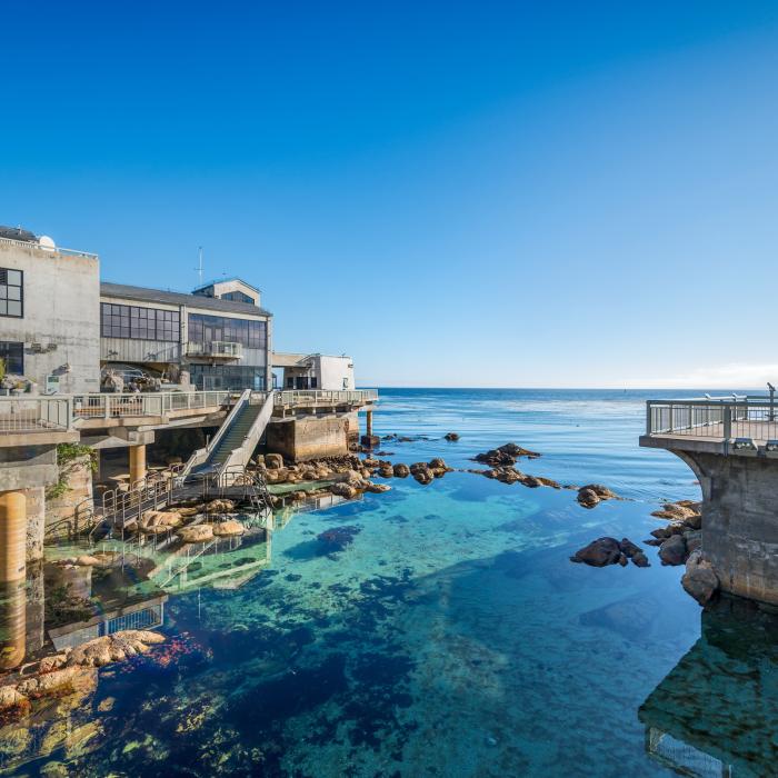 Mopnterey Bay Aquarium deck facing the Monterey Bay. Great tide pool in the foreground.