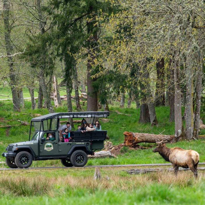 jeep northwest trek