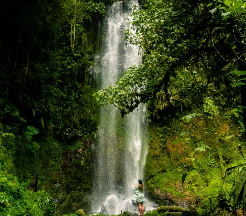 waterfall
