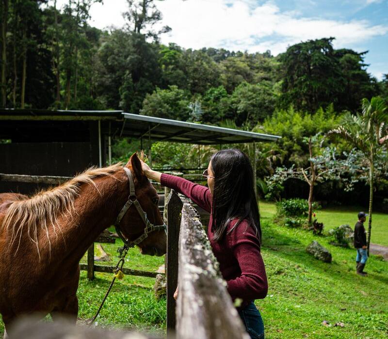 Haras Cerro Punta, Cerro Punta, Chiriquí Province