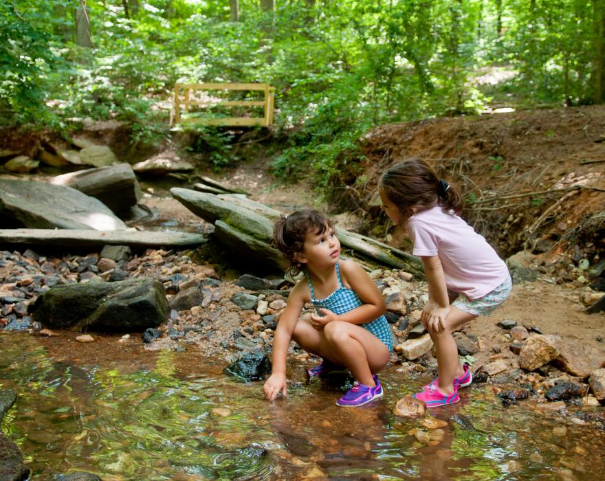 Kids Playing In The Dunwoody Nature Center Creek