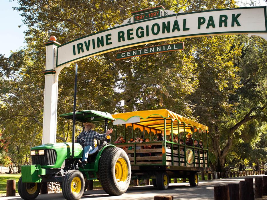 Irvine Regional Park Hay Rides & Pumpkin patches