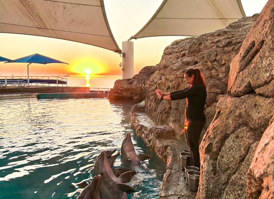 aquarium