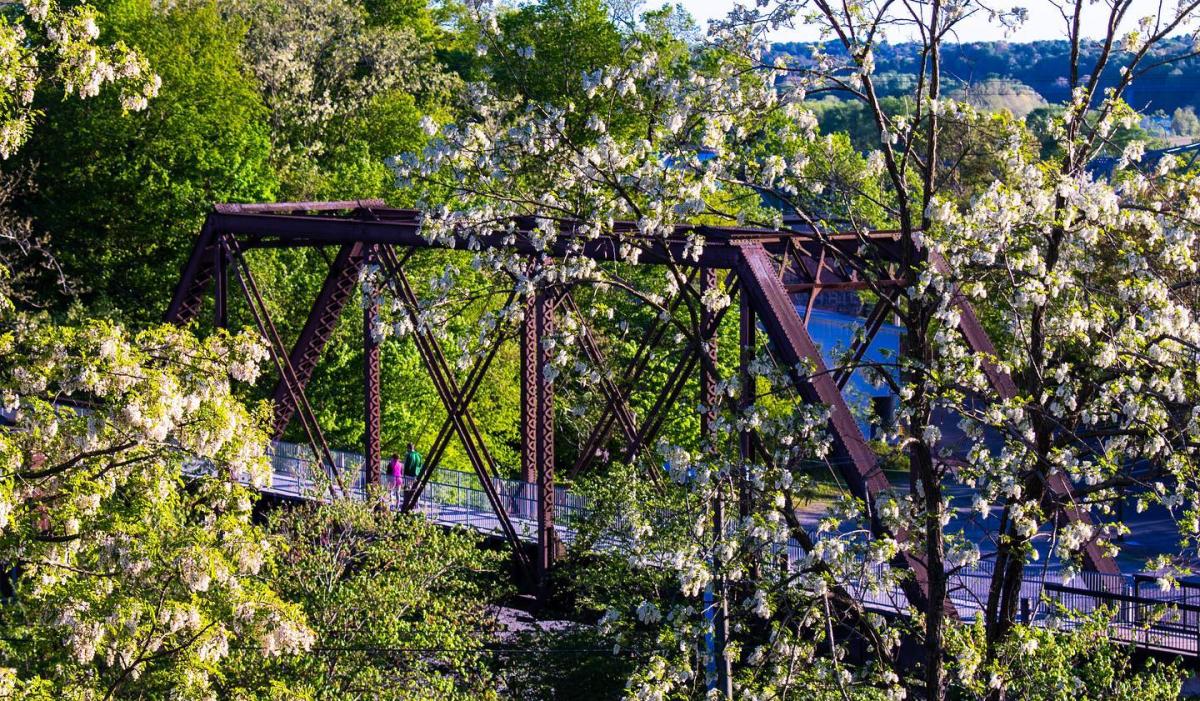 old railroad trestle through the trees