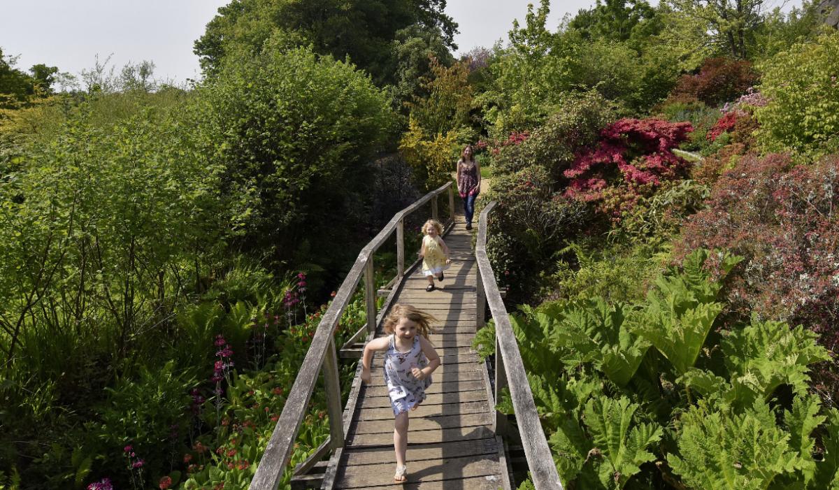 Girls running across the bridge at Furzey Gardens in the New Forest