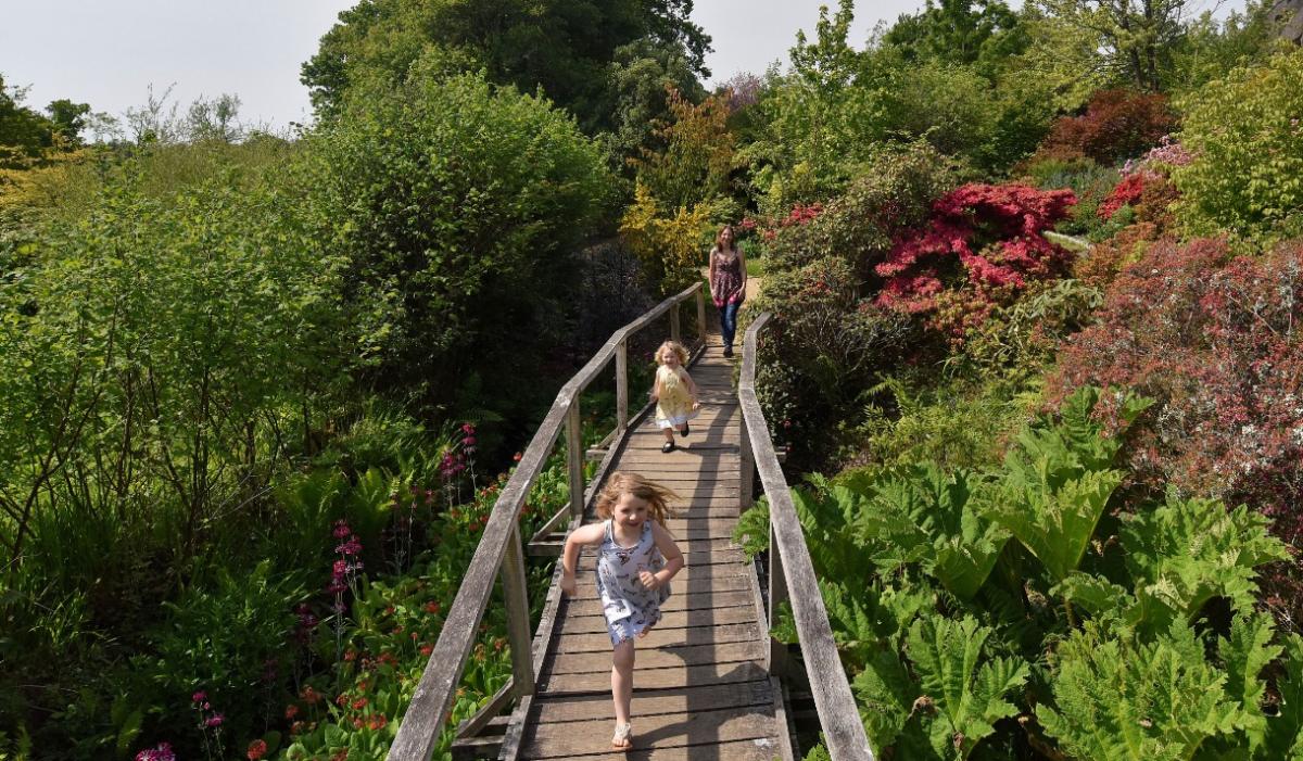 Kids running on bridge at Furzey Gardens