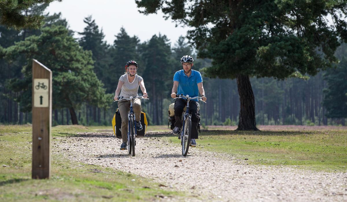 Cycling - Green leaf blog