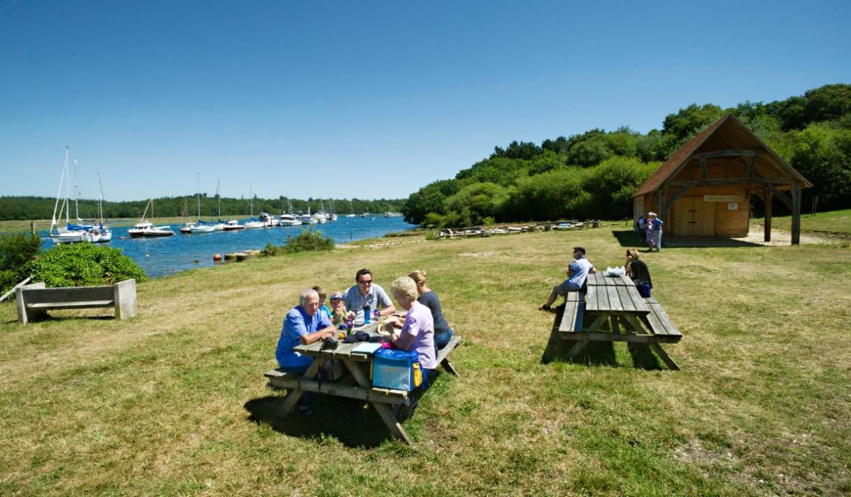 Top 10 Places for a Picnic in the New Forest