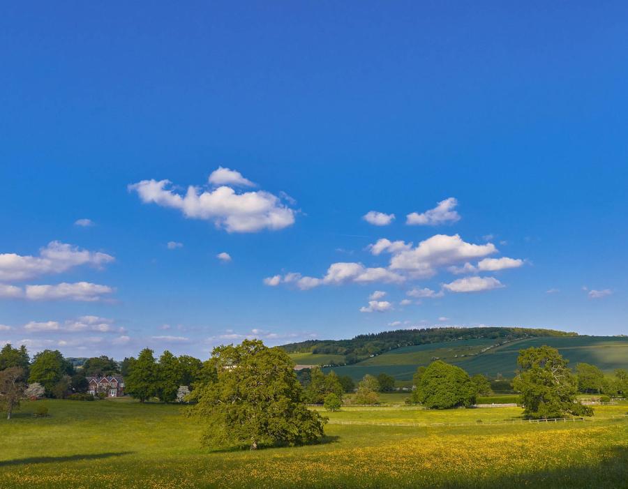 view of fields where Lordington Park Campsite is situated