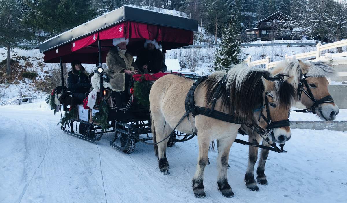 Kanefart med hest på Eikerapen Gjestegard