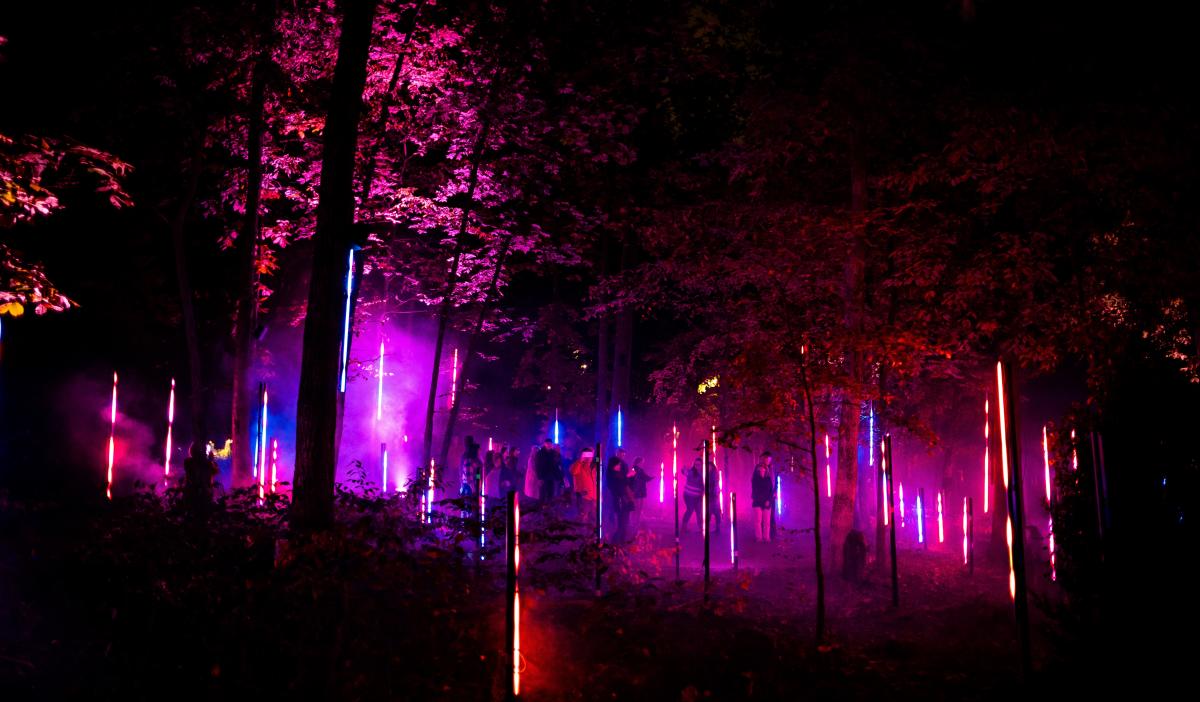 A night time image of the North Forrest Lights at Crystal Bridges Museum of American Art