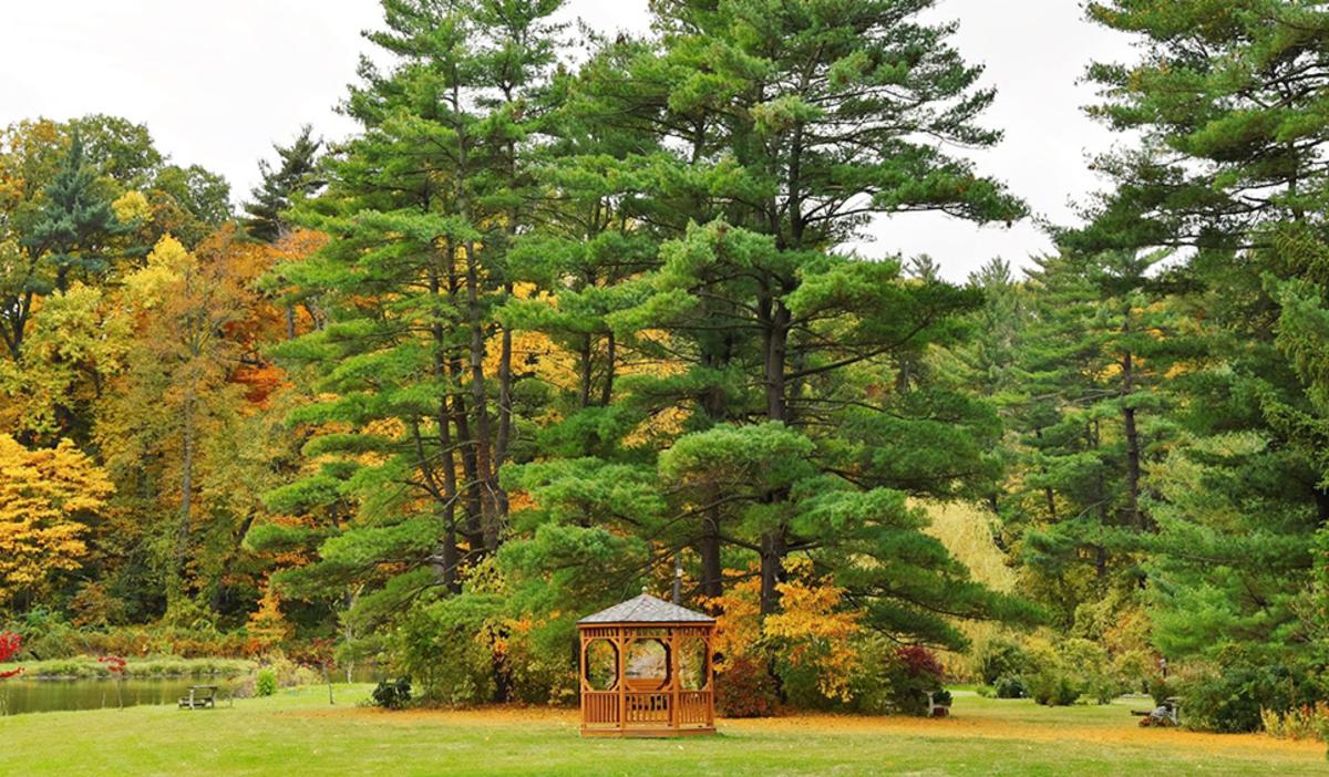 A gazebo at Friendship Botanic Gardens