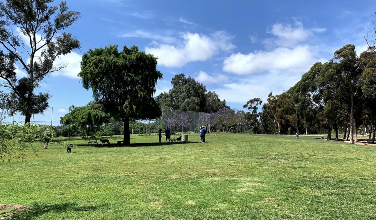 Grape Day Dog Park