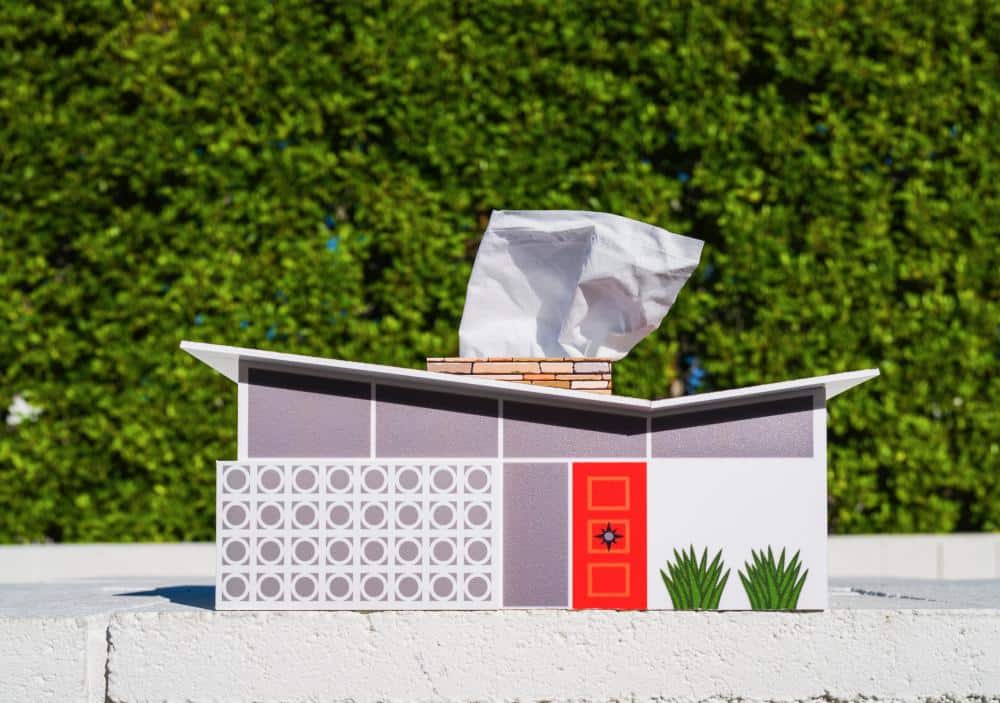 Destination PSP Tissue Box