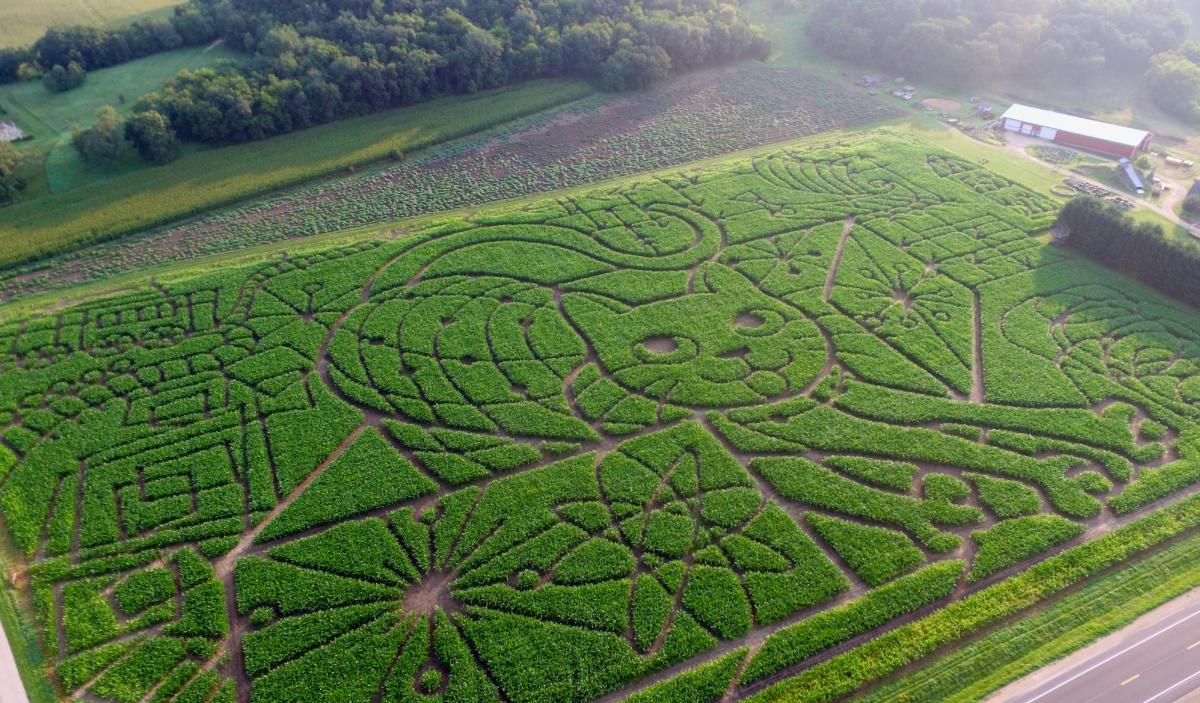 An aerial view of the corn maze at Treinen Farms in Lodi