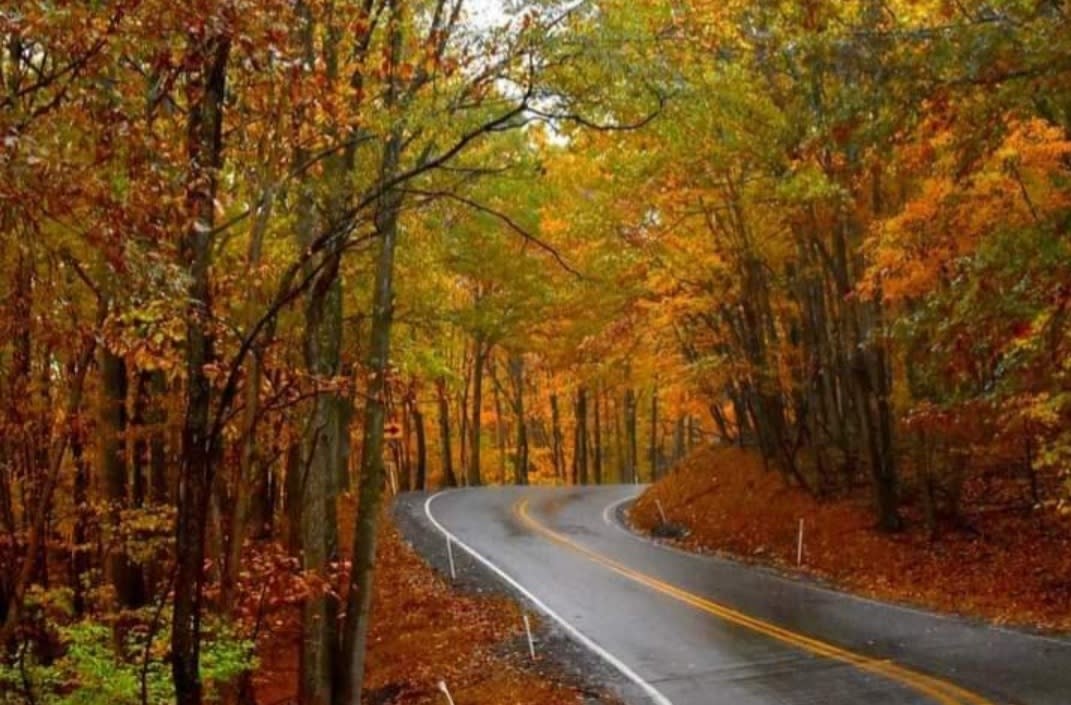 Fall Colors on the Byway_Flintstone MD