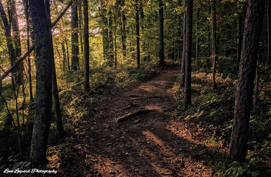 Joe Wheeler State Park