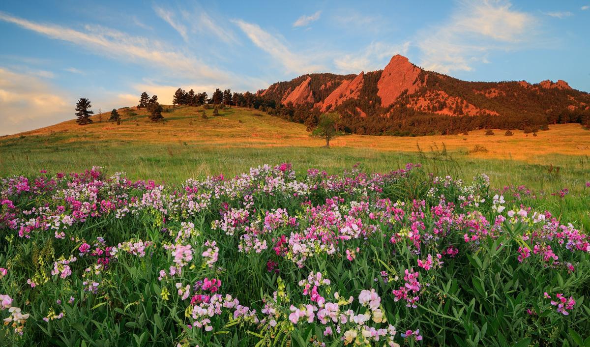 Flatirons at Sunset with Path